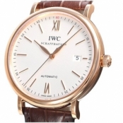 IWC IW356504 コピー