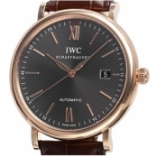 IWC IW356511 コピー